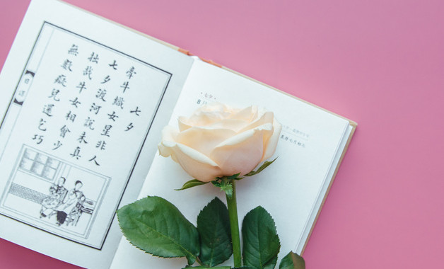 服裝包裝公司簡(jiǎn)介（精選50個(gè)范本）